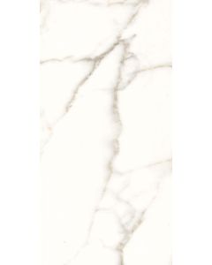Calacatta White Lux 24 x 48 | Trilogy by Elysium