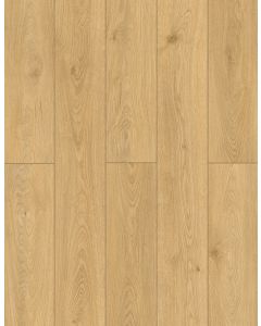 Timber Glaze SPC | Bambino Collection by Lion's Floor 