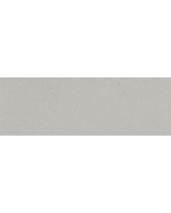 Gray Flat Matte 6x20 | Fregio by Emser Tile