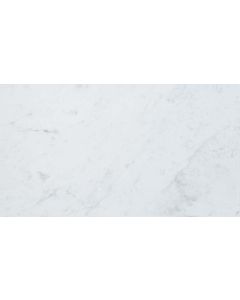 Eon Carrara Wall Tile Glossy 12 3/8x22 1/2 | Eon by Atlas Concorde