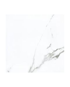 White Polished 24x24 | Calacatta by Ottimo Ceramics