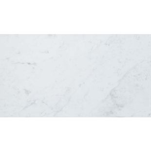Eon Carrara Wall Tile Glossy 12 3/8x22 1/2 | Eon by Atlas Concorde